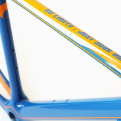 Wheelsandbikes Frames 6